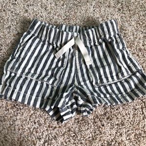 tea collection shorts
